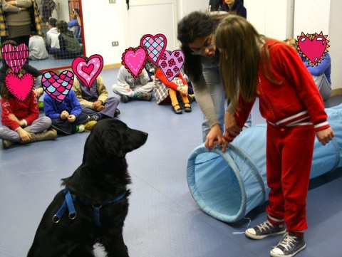 La pet therapy: cani, gatti, asini e pappagalli in aiuto di chi soffre